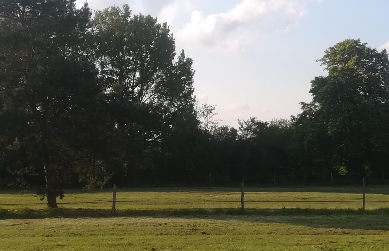 Saint-Romain-sur-CherLes Pres Du Petit Morlu - Proche Beauval别墅 外观 照片